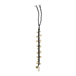 Meinl Ajuch Bells Medium w/ Bag